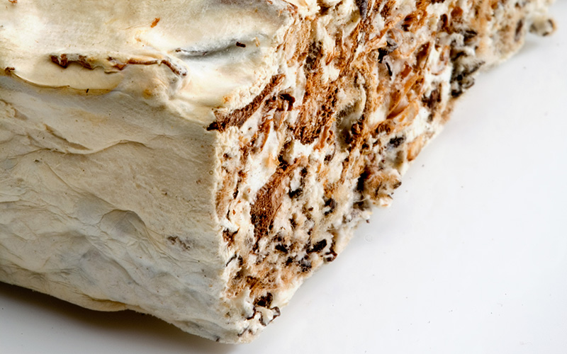 A World of Materials