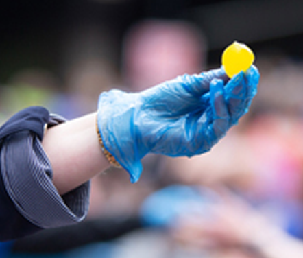 Seaweed drinks capsules as an alternative to plastic bottles