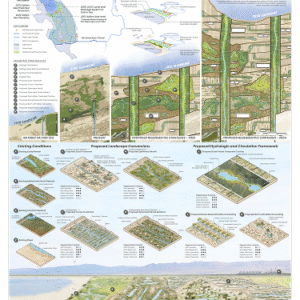 260_Where Water Meets Dust_ Regenerative Landscape Strategies for the Salton Sea
