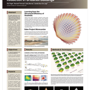 332_Learning From the Sea_ Scaling the Biomimetic Performance of Seashell Structures for Carbon Reduction in Gridshell Buildings