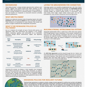 389_ Form Follows Function_ Polymerization as a Policymaking Prototype