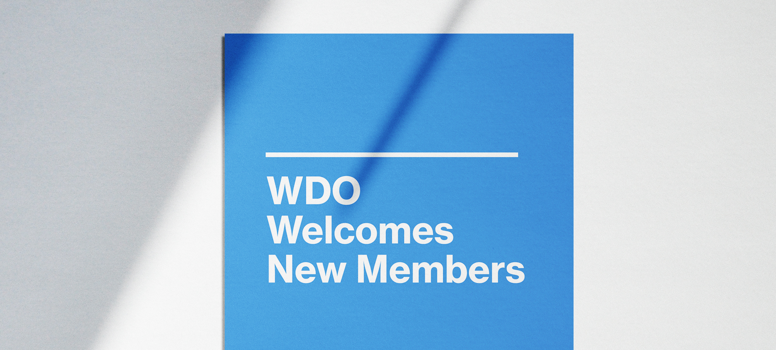 WDO Welcomes new members