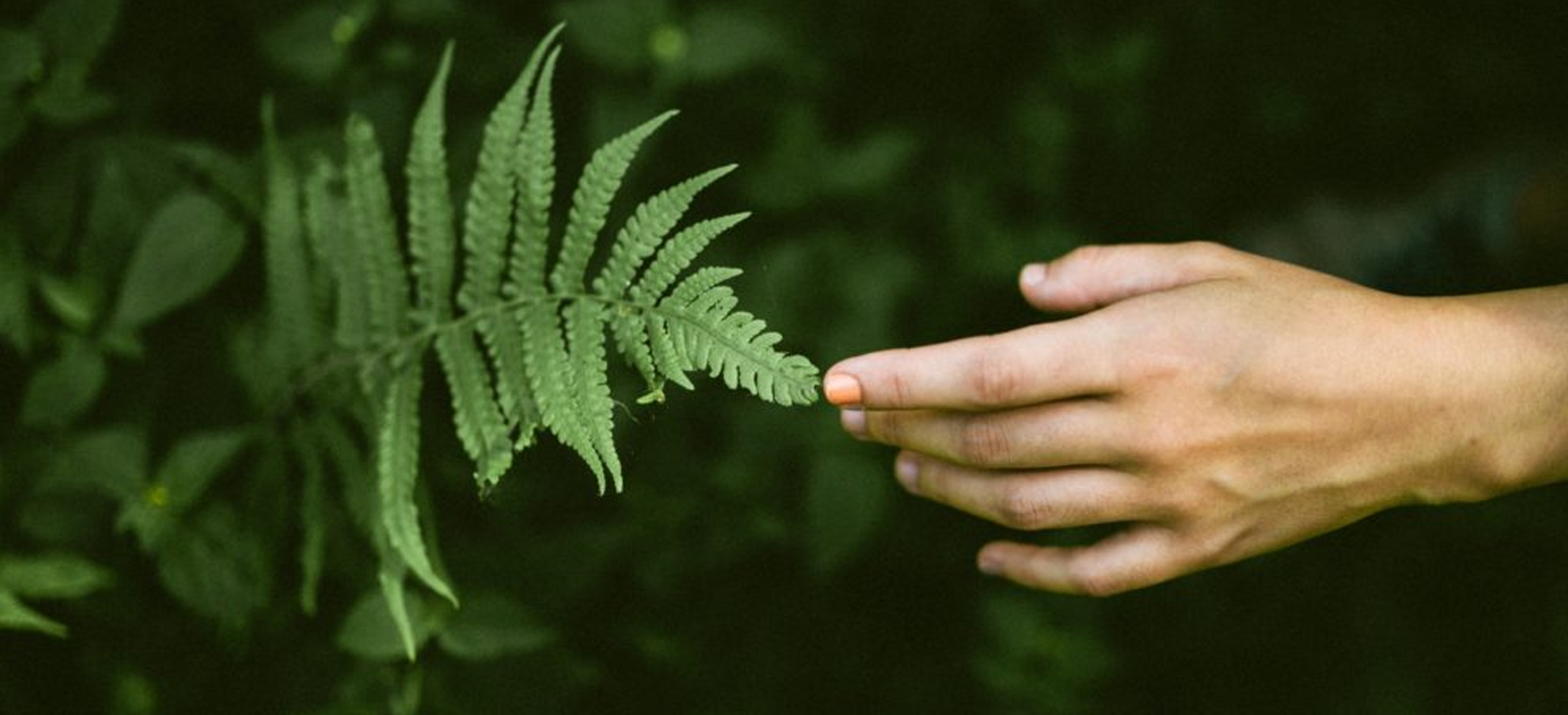 Nature as the Ultimate Designer