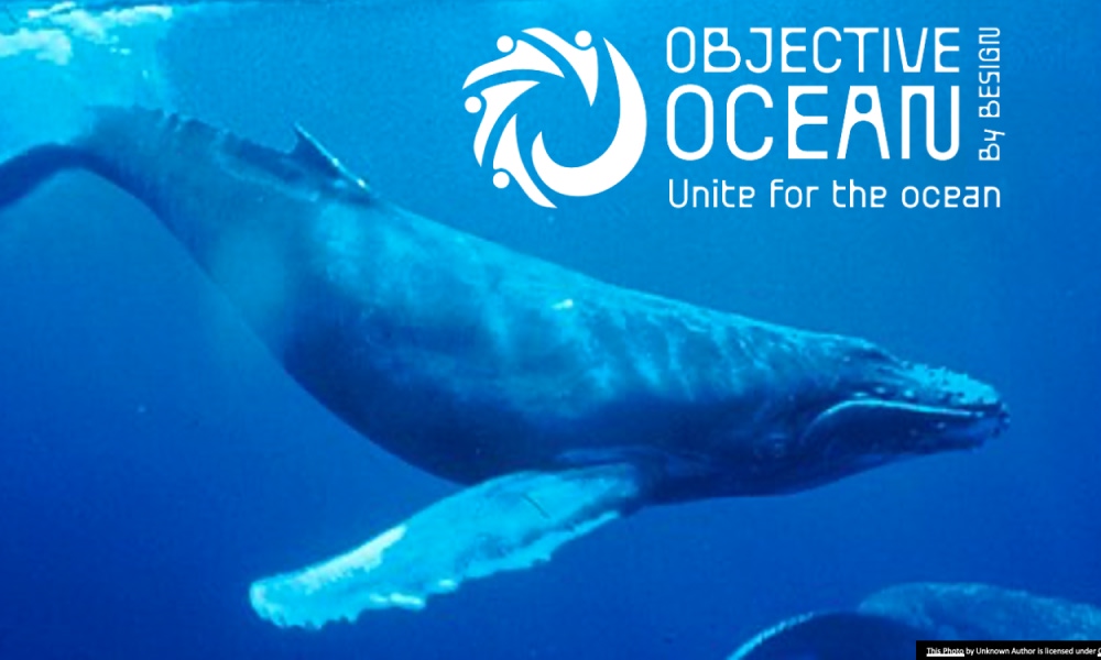 The Ocean: A New Horizon for Designers